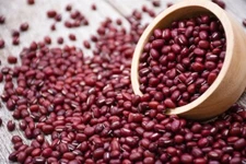 Adzuki Soybean Seeds for Planting - Red Beans - 100 Seeds to Grow