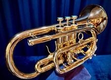 RARO CORNETTO FLIP OAKES WILD