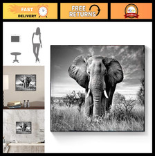 Wild Elephant Canvas Wall Art - African Safari Landscape Painting, Black & White