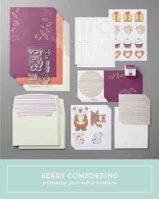STAMPIN UP Beary Comforting Paper Pumpkin Kit Dec 2020 NEW Get Well Hooray Bear