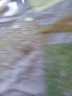 Bild 22 von 24
