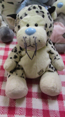 me to you 8'' blue nose friend buster 10 Leopard