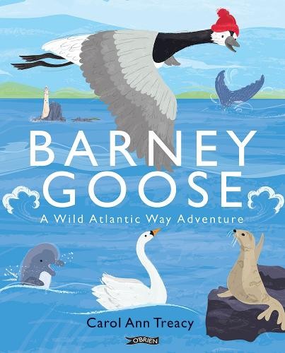 Barney Goose: A Wild Atlantic Way Adventure - Image 5