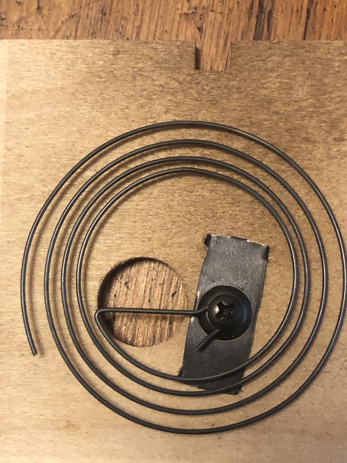 Schneider Hand Painted Flowers Black Forest Cuckoo Clock--Excellent Condition