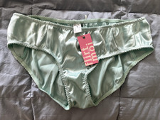 Blush Lingerie brand NWT light blue satin panties size M