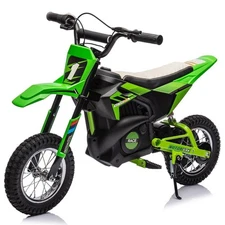 Electric Off-Road Motorcycle 24V 250W Motor Metal Suspension Kid Teens Dirt Bike