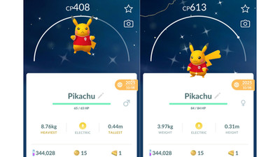  Shiny (Dazzling) Pikachu Indonesia Football Jersey Pokemon GO  Registered 20k