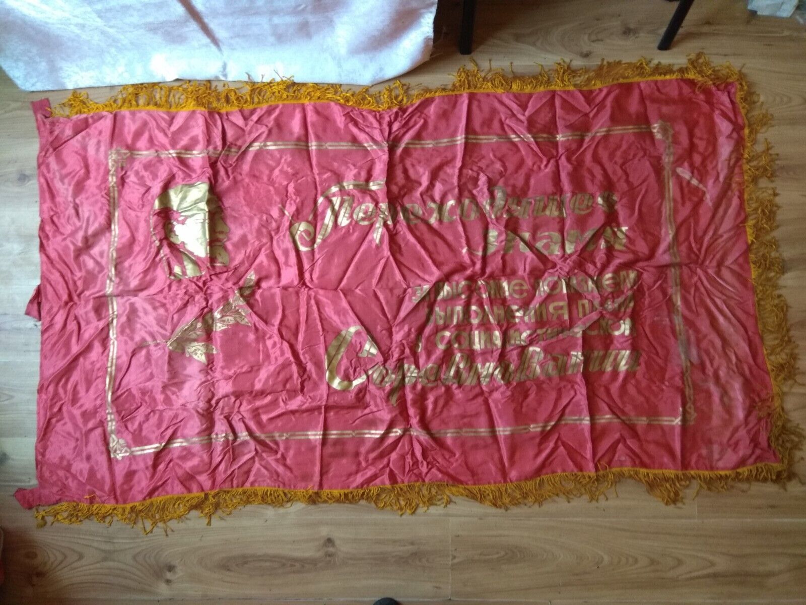 Picture 3 of 12