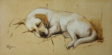 Original art - Oil painting - yellow Labrador dog - portrait by j payne