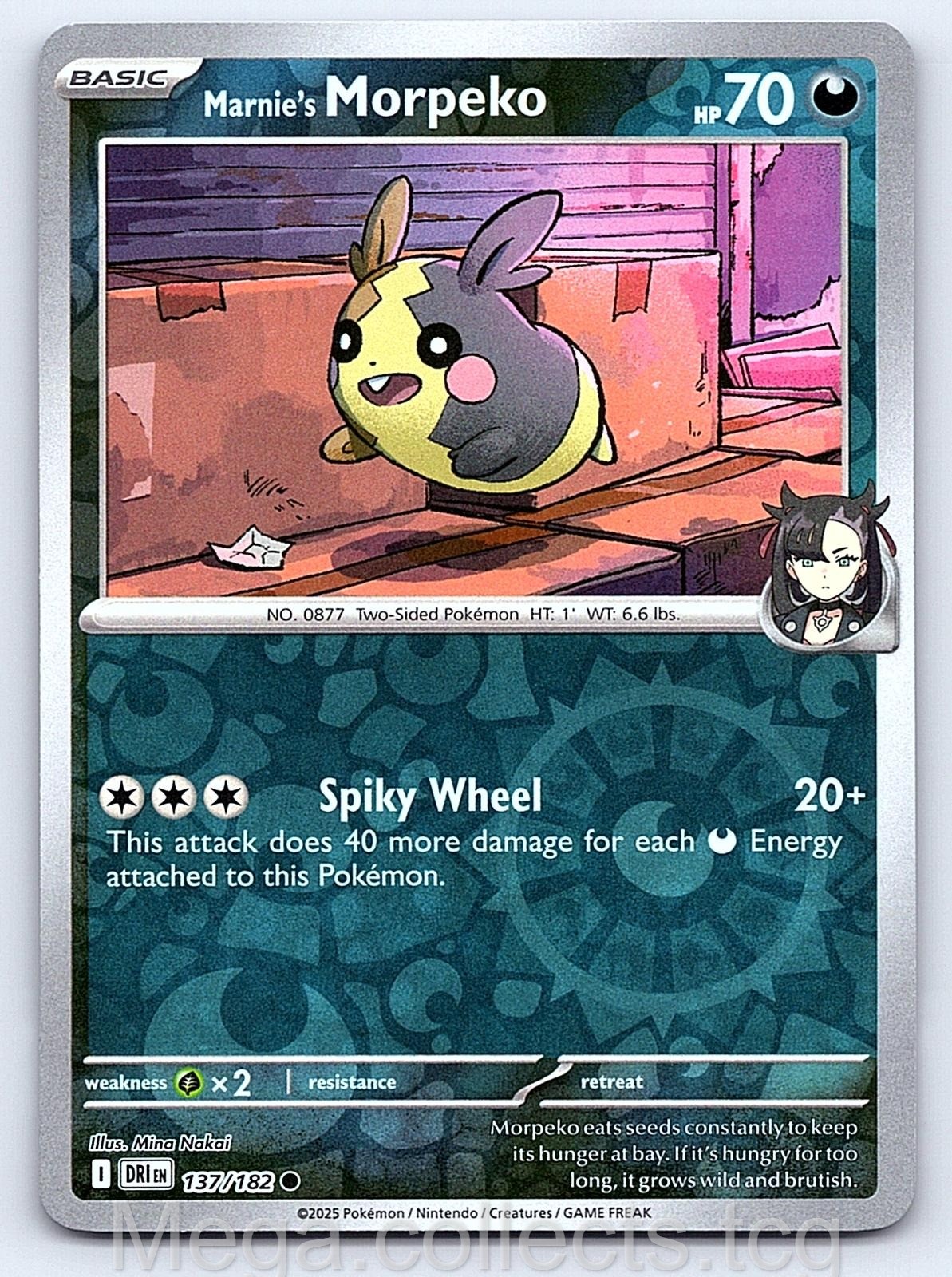 Marnie's Morpeko 137/182 Common Destined Rivals Pokemon Reverse Holo Near Mint