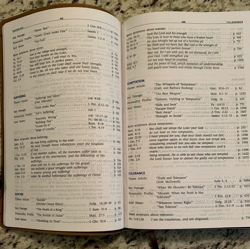 Mental Health Kit: CARE & COUNSEL BIBLE/MENTAL HEALTH MINISTRY/STRUGGLE IS REAL - Picture 7 of 14