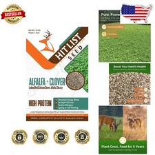 Deer Plot Seeds 10lb Alfalfa Clover Chicory Drought Tolerant Perennial