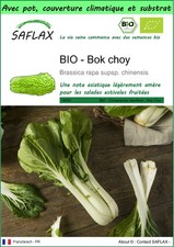 SAFLAX - Garden to go - BIO - Bok choy - 300 Graines