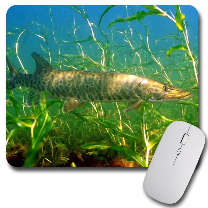 Muskie Fishing Mousepad / PC Mouse Pad Fisherman Muskellunge Musky