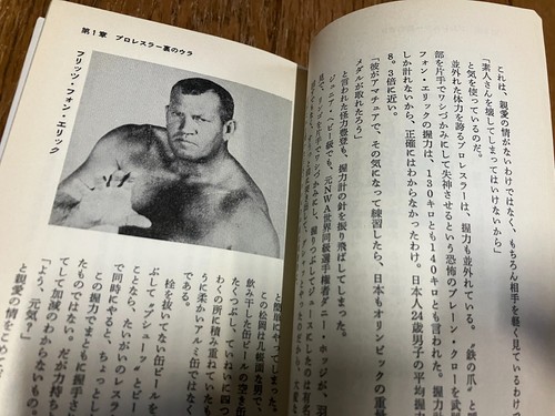 Pro Wrestling Japanese book Harley Race Bruiser Brody Terry Funk - Picture 5 of 6