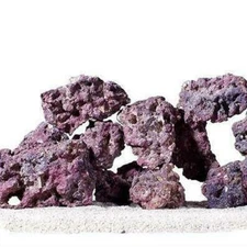 Life Rock (40 lb) -  Caribsea