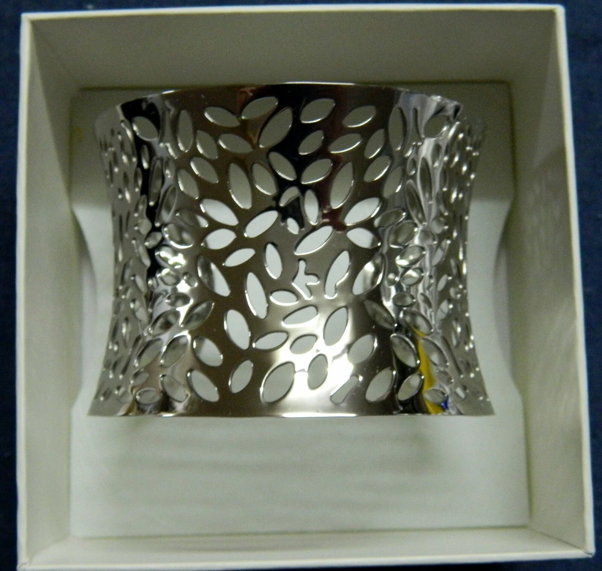 ENVY Jewellery Stainless Steel Leap of Faith Bangle eBay