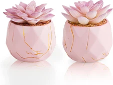 Artificial Succulent Plants in 2 Pink Ceramic Pots, Cute Fake Plants for Vanity 