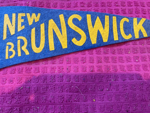 Vintage New Brunswick NB CANADA Souvenir BANNER Pennant DEER Buck - Ship Fast - Picture 3 of 4