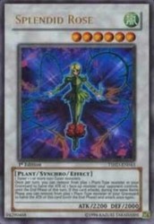 Splendid Rose TSHD-EN043 Ultra Rare The Shining Darkness 1st Edition YuGiOh