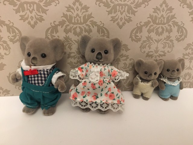 calico bears for sale