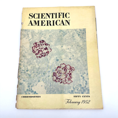 Scientific American February 1952 Chromosomes Vintage Biology Magazine