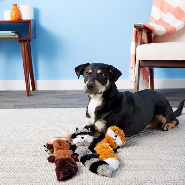 Lot 3 Zippy Peltz Stuffing Free Toys Fox, Raccoon & Squirrel