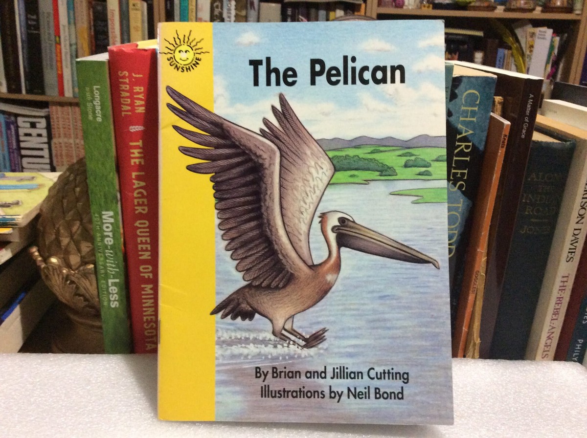 The Pelican (Sunshine Book) Level 1 by Brian + Jillian Cutting