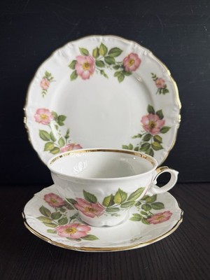 Vintage Winterling Bavaria Germany Tea Trio Wild Rose Floral Porcelain
