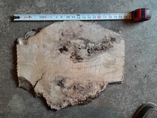 5/8ths Thick Oak Burl Slice