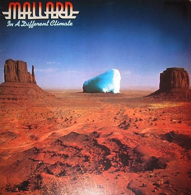 Mallard - In A Different Climate - Used Vinyl Record - F1034z
