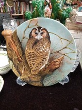 Coalport Long Eared Owl by Micheal B Sawdy Collector Plate From The Wise Owl