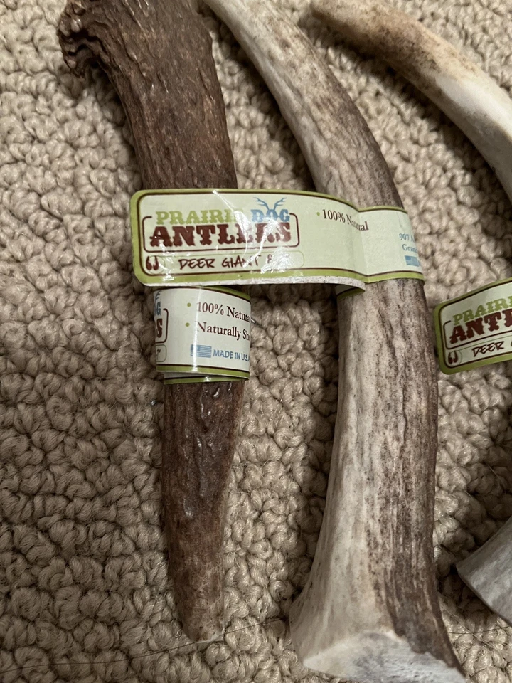 Prairie Dog Pet Products Elk Antler Treat, 6-7inch Deer Giant Bundle of 4, XL - Image 2 of 4