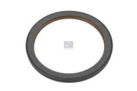 Wellendichtring DT Spare Parts 6.20506 D:160Mm D:190Mm H:13Mm