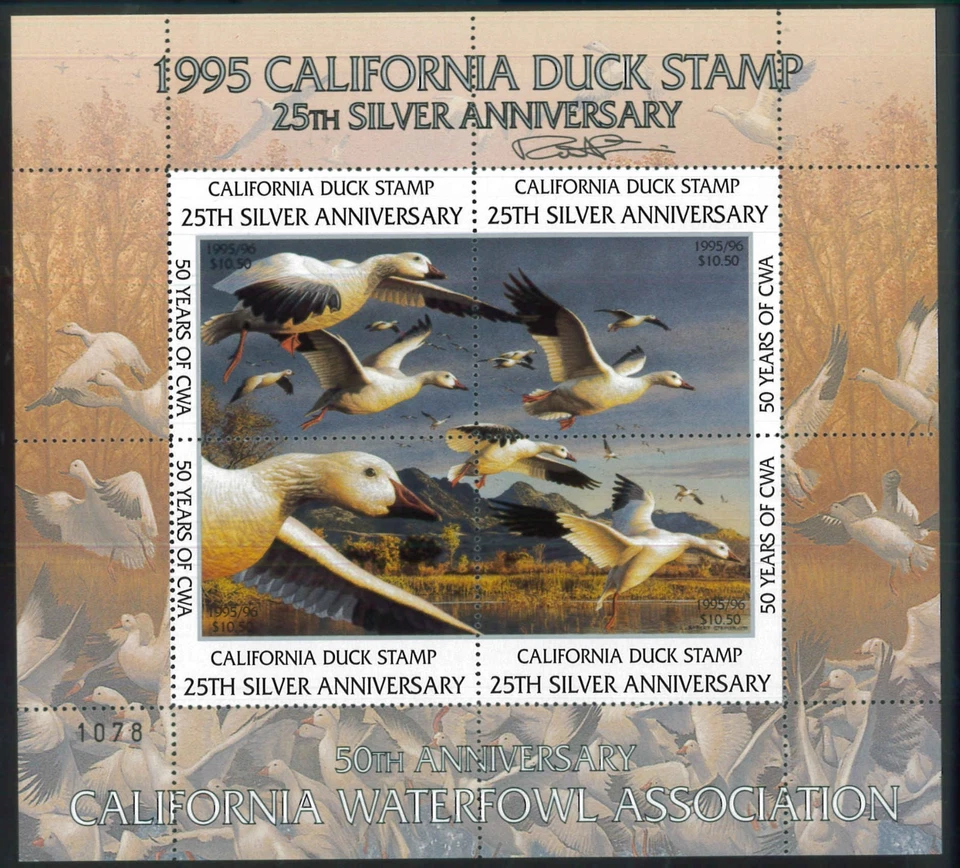 CALIFORNIA #25 1995 STATE DUCK PRINT Robert Steiner, Color Remarque #42/200  - Image 2 of 2