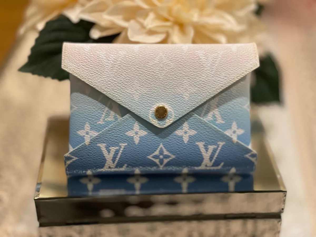 louis vuitton papillon insert