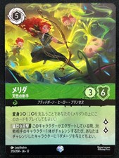 MERIDA 213/204 JA-12 WILDS UNKNOWN EPIC FULL ...