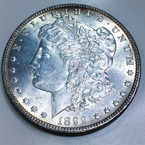 1899 Morgan Silver Dollar Beautiful Uncirculated Coin Rare Date