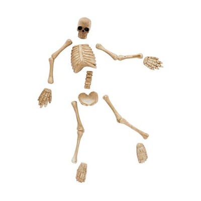 Department 56 Snow Village Halloween Boneyard Bag-O-Bones 4047604 Retired