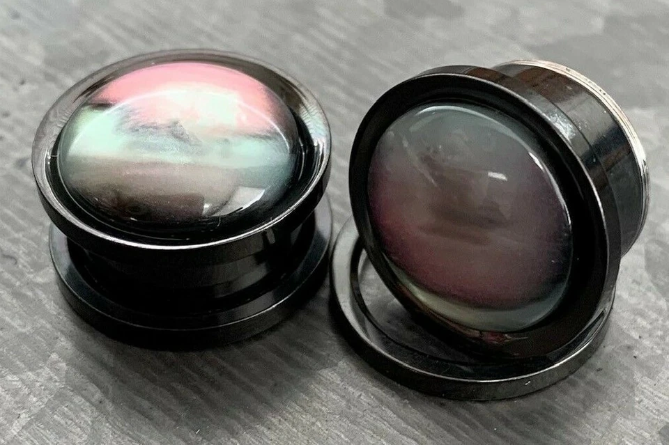 PAR Concha Iridiscente Negro Tornillo Ajuste Túneles Pendientes Medidores Tapones Joyería Corporal Foto 4 de 4