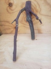 20" Red forked Manzanita branch 35