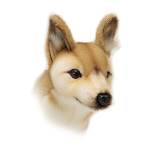 Dingo Wild Dog Hansa Realistic Soft Animal Plush Toy 45cm **FREE DELIVERY** - Picture 3 of 3