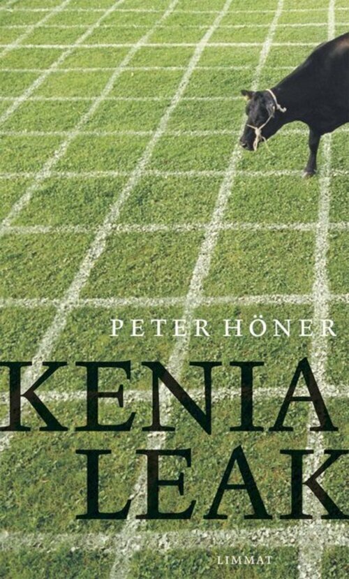 Thumbnail - Kenia Leak Roman Peter Höner Buch 272 S. Deutsch 2017 Limmat Verlag