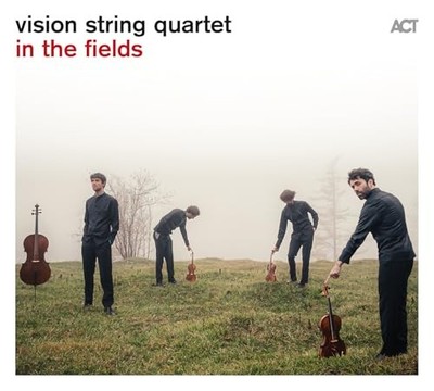 VISION STRING QUARTE - IN THE FIELDS - CD ALBUM - F123z
