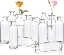 Set of 12 Glass Bud Vases Clear Small Flower Vases Decorative Glass Bottles