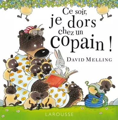 Heute Abend schlafe ich bei einem Freund!, David Melling