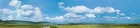 FALLER 180514 - Plastic background "black forest" 388 x 65 cm