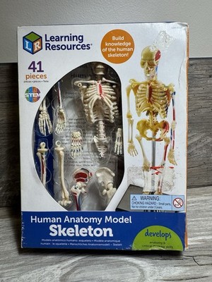 Learning Resources STEM Human Anatomy Skeleton 9.2'' Tall Realistic Model ~ 41 Pc