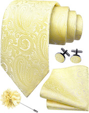 Mens Paisley Tie Set with Handkerchief Cufflinks Lapel Pin Formal Necktie 3.15"