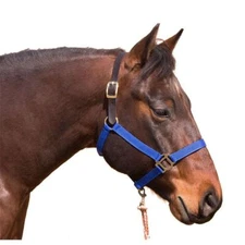 Intrepid International Nylon Breakaway Halter